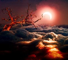 Pieces of Me That Exist in the Cloud