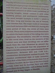 Reading, Reading, and More Reading