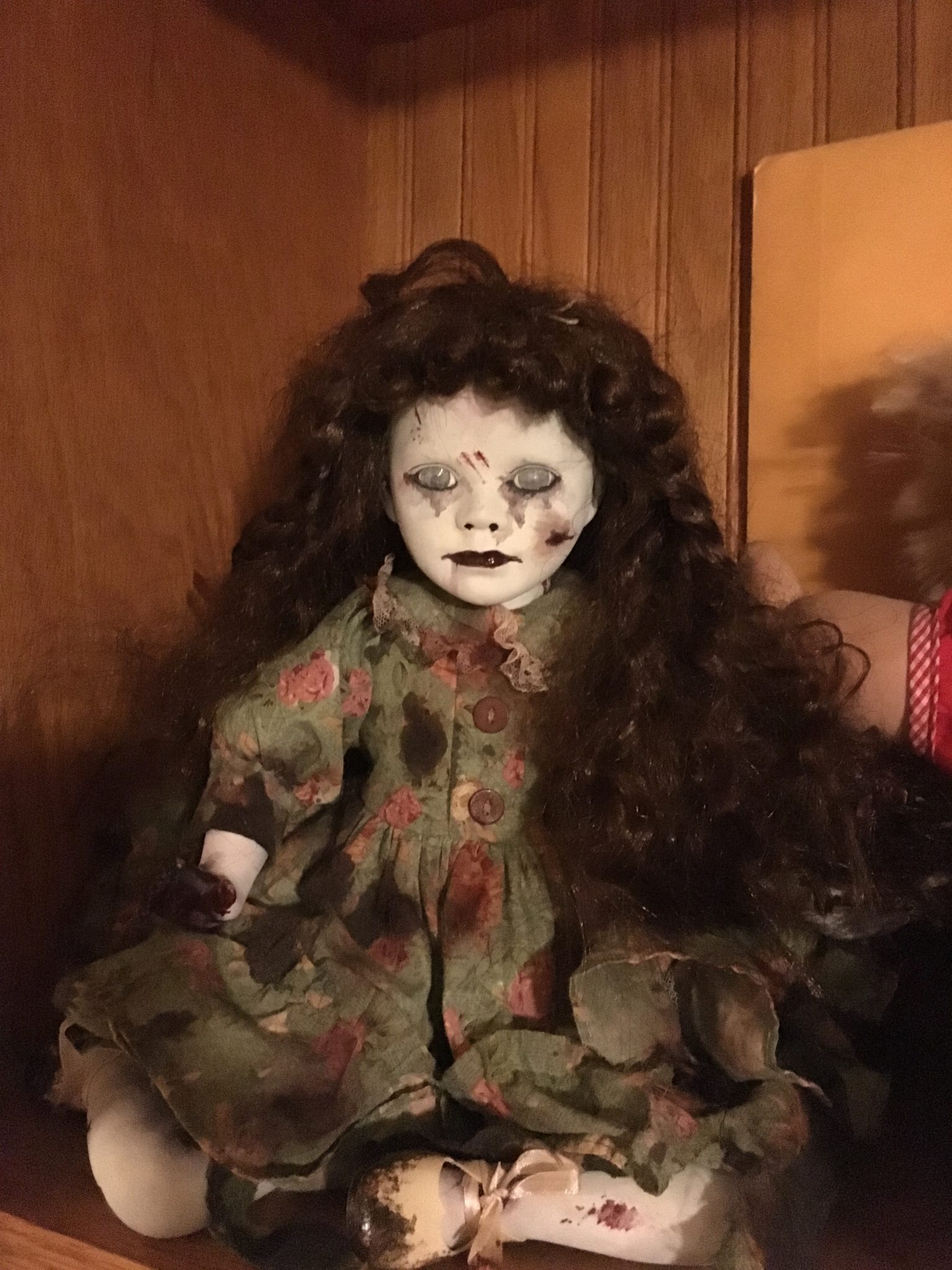 We Officially Own A Creepy Doll
