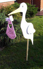 And More Announcements About the Pregnancy