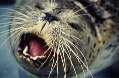 The Second Day of Kindergarten