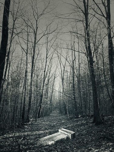 A Co-Worker Passed Away Last Night