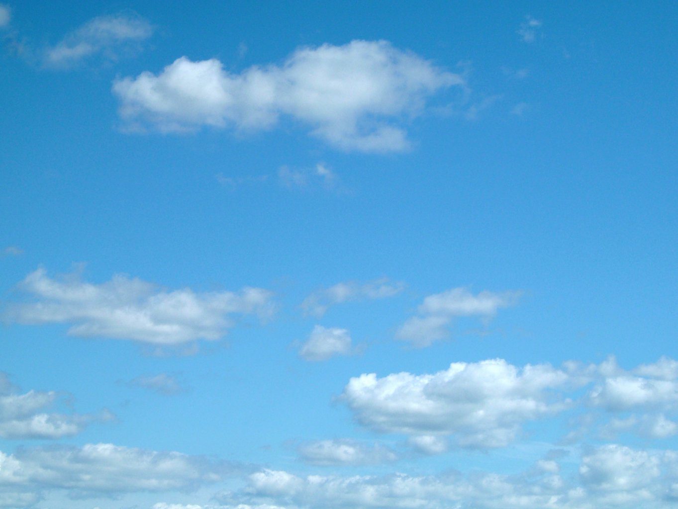 Netflix Why Do You Tease Me